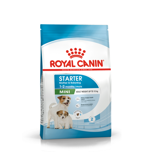 미니 스타터 마더앤베이비독