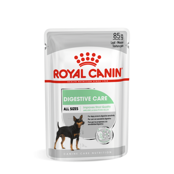 다이제스티브 케어 파우치