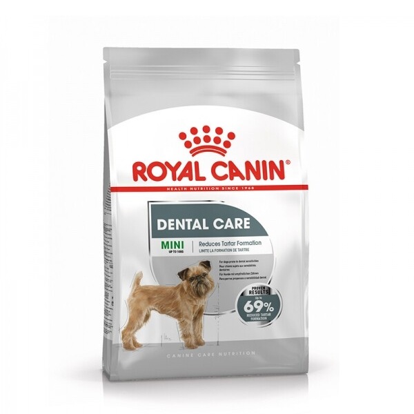 미니 덴탈 케어